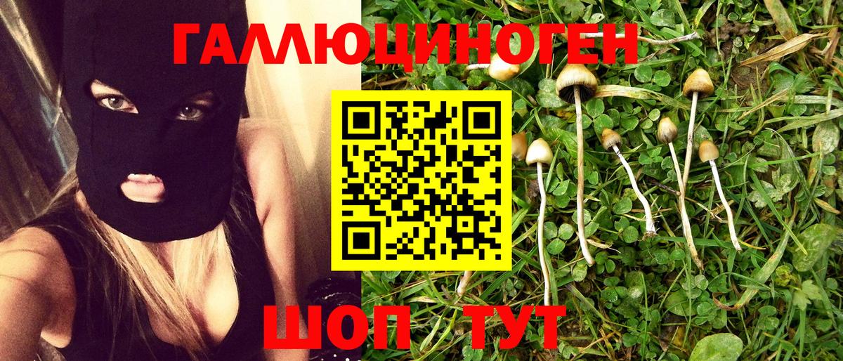 Москва  Галлюциногенные грибы Psilocybe  Вход с VPN 